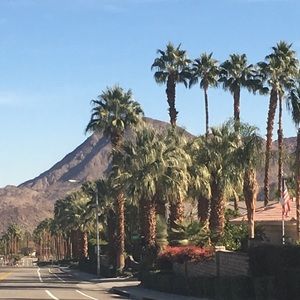 Meet your Posher, Ariel